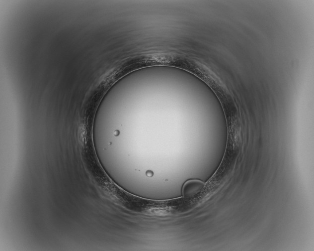 X0000116640595200912141237