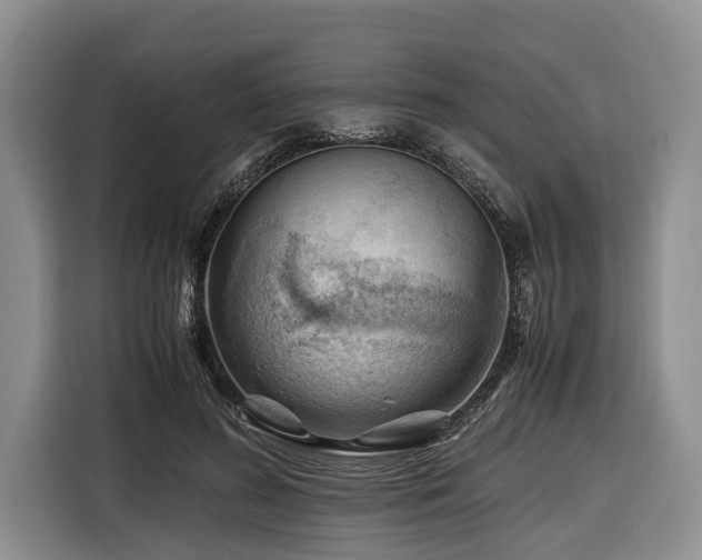 X0000116640596200912141237