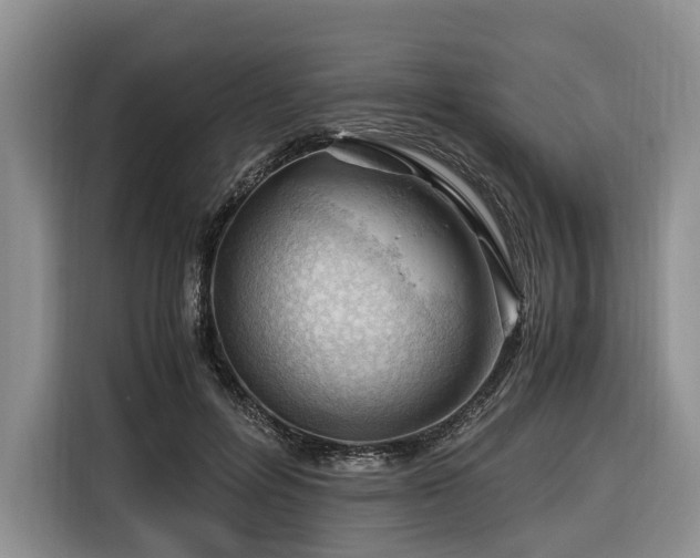 X0000116640600200912141237