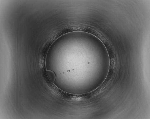 X0000116640602200912141237