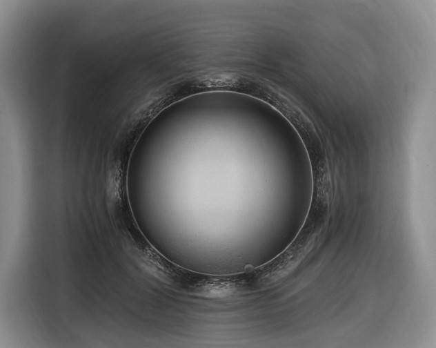 X0000116640604200912141237