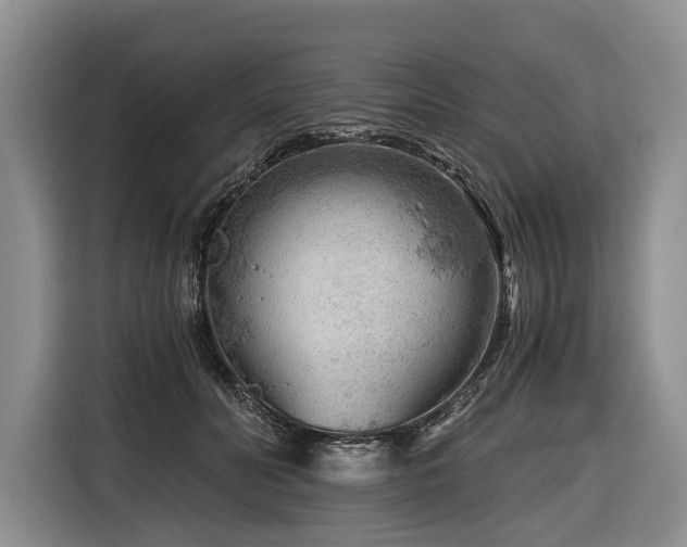 X0000116640606200912141237