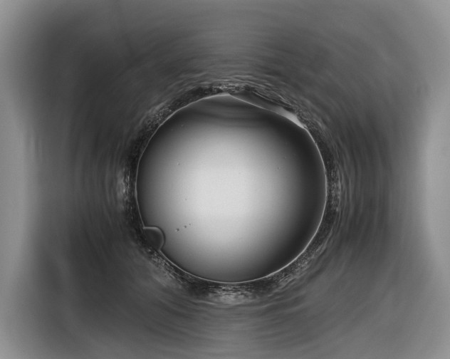 X0000116640608200912141237