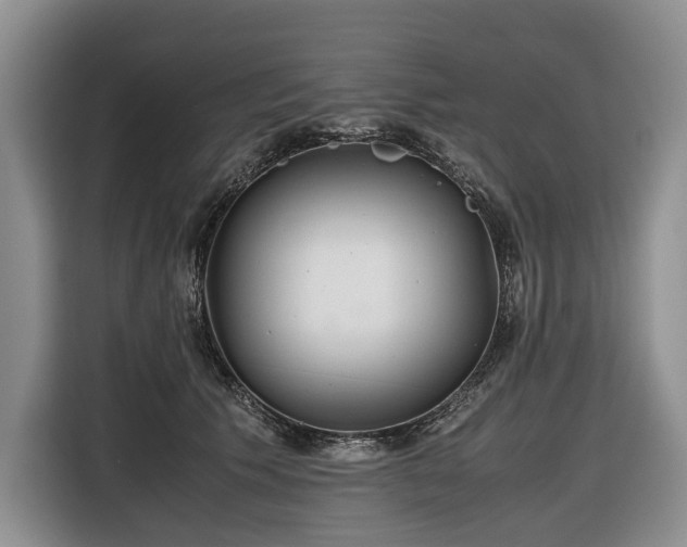 X0000116640609200912141237