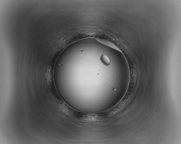 X0000116640612200912141237