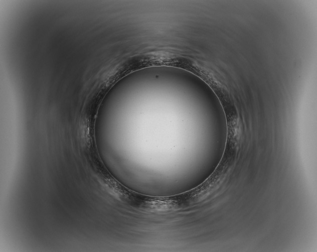 X0000116640615200912141237