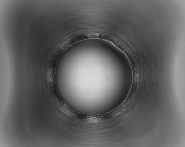 X0000116640616200912141237