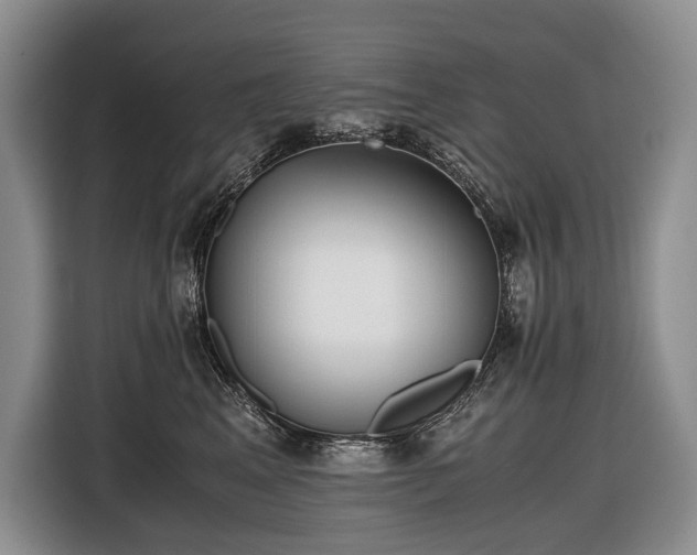 X0000116640617200912141237