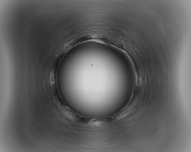 X0000116640620200912141236