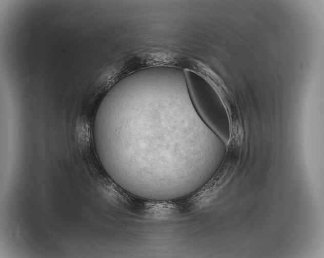 X0000116640621200912141236