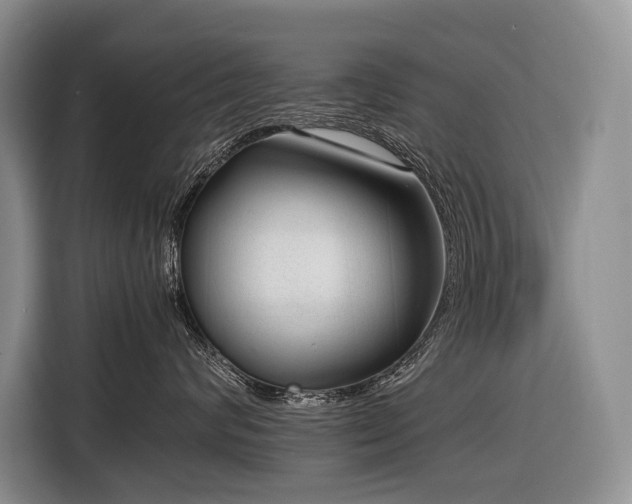 X0000116640624200912141236