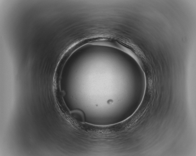 X0000116640628200912141236