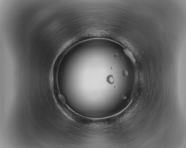 X0000116640630200912141236