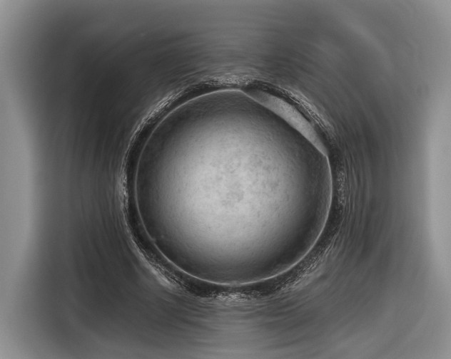 X0000116640634200912141236