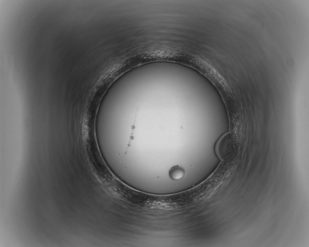 X0000116640635200912141236