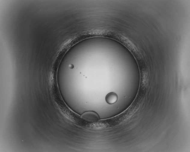 X0000116640636200912141236