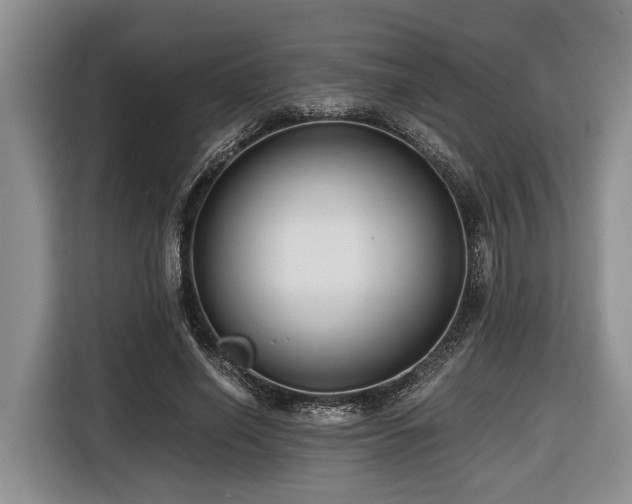 X0000116640638200912141236