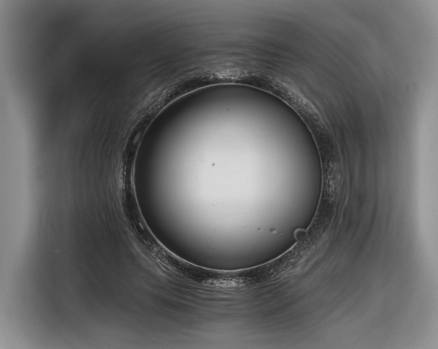 X0000116640639200912141236