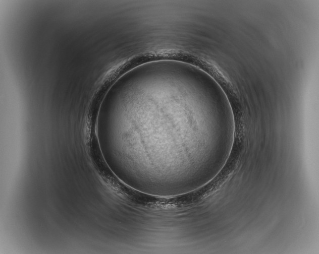 X0000116640640200912141236