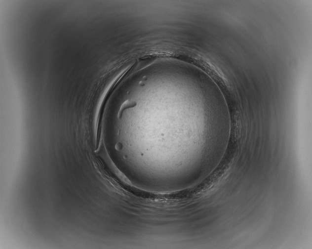 X0000116640641200912141236