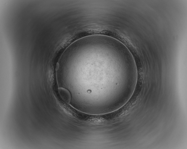 X0000116640642200912141236