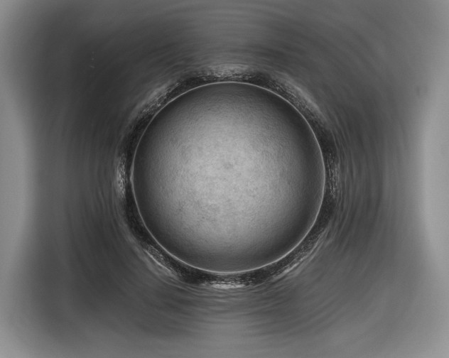 X0000116640644200912141236