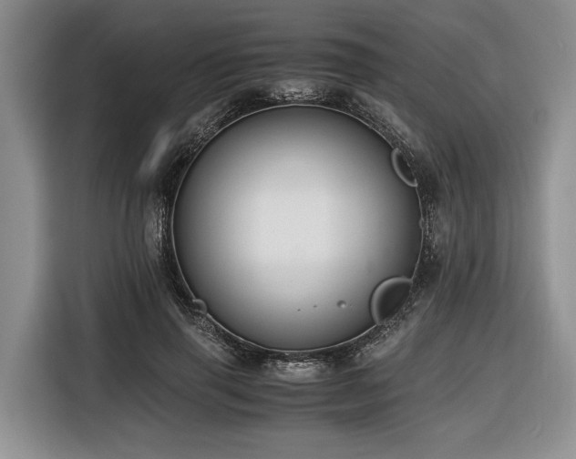 X0000116640645200912141236