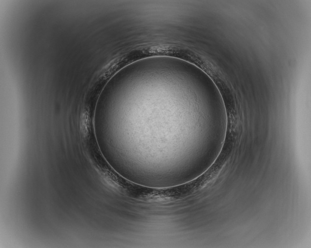 X0000116640648200912141236