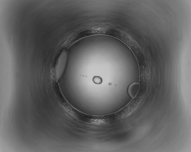 X0000116640649200912141236