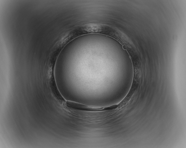 X0000116640652200912141236