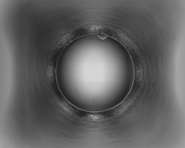 X0000116640654200912141236