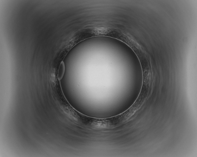 X0000116640655200912141236