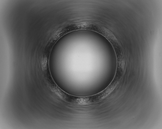 X0000116640660200912141236