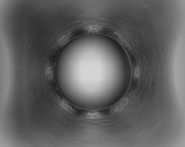 X0000116640666200912141236