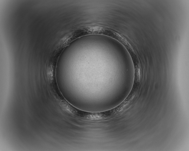 X0000116640668200912141236