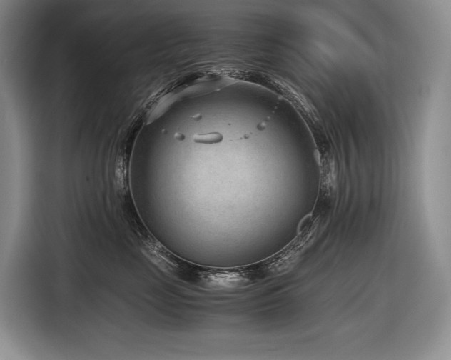 X0000116640669200912141236