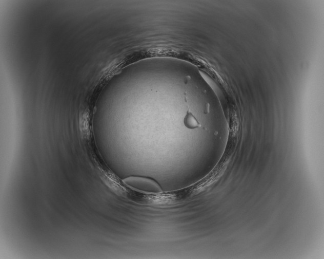 X0000116640670200912141236