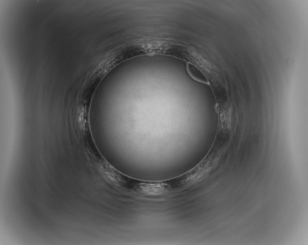 X0000116640671200912141236