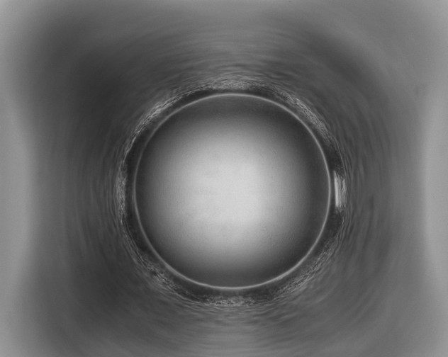 X0000116640675200912141236