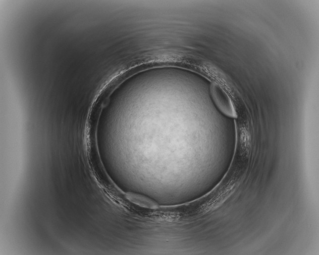 X0000116640676200912141236