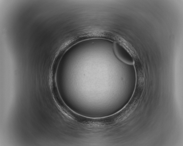 X0000116640677200912141236