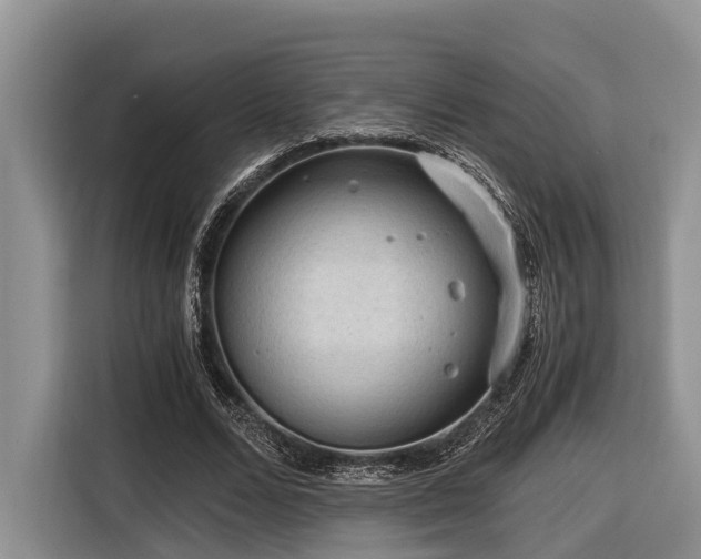 X0000116640680200912141236