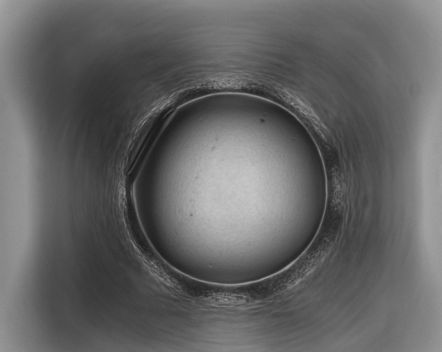 X0000116640681200912141236