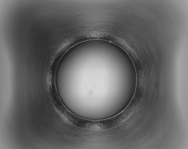 X0000116640683200912141236