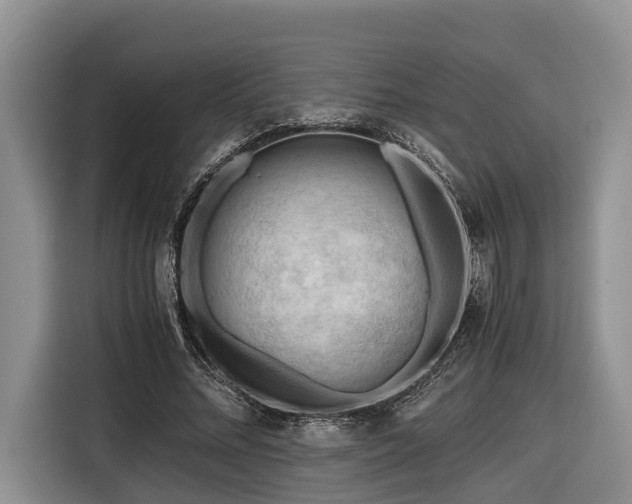 X0000116640684200912141236