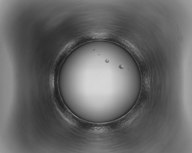 X0000116640686200912141236