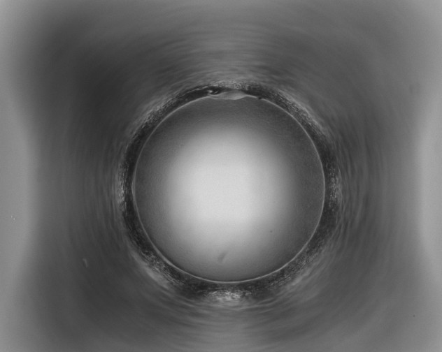 X0000116640687200912141236