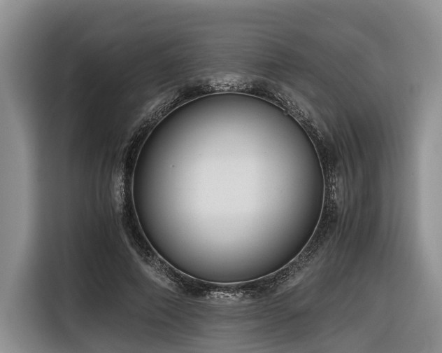 X0000116640690200912141236