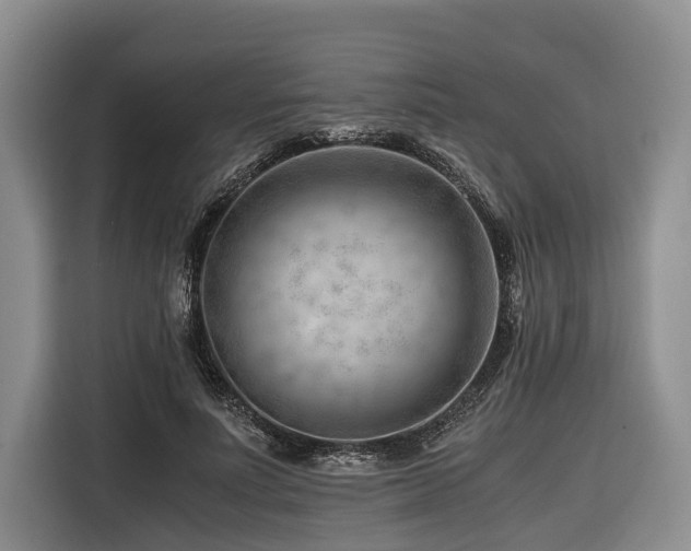 X0000116640691200912141236