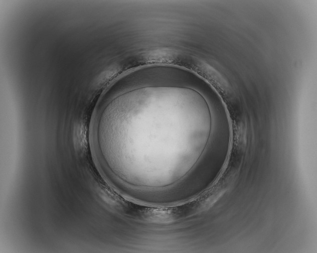 X0000116640692200912141236